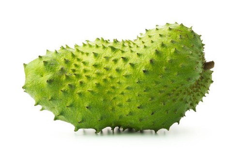 Fresh Soursop Fruit, organically Grown in GB