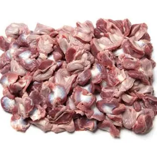 Chicken Gizzard