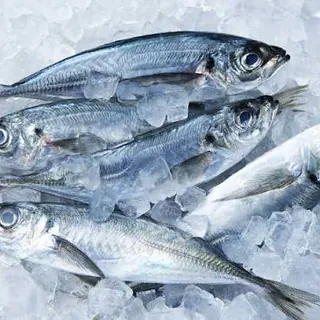 Frozen Meat, Poultry & Seafood