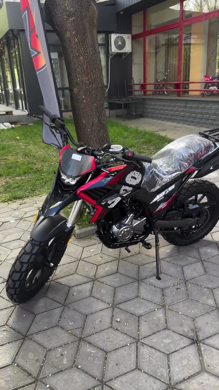 TEKKEN 300CC ADVENTURE BIKE