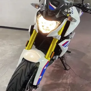BMW GS310