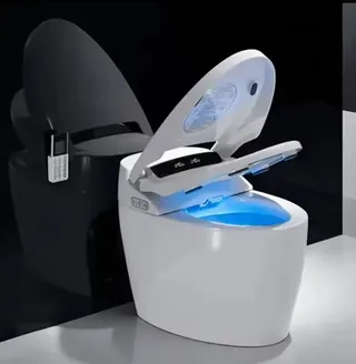 wc-toilet-water-closet-auto-sensor-flush-open-electric-bathroom.jpg