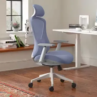 chair--blue-mesh-fabric-office-chair.jpg
