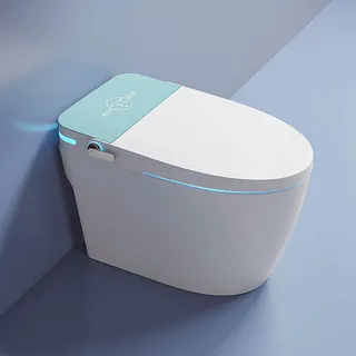 smart-toilet-automatic-remote-control-flush-intelligent-rimless-toilet.jpg
