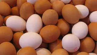 farm-fresh-eggs.jpg