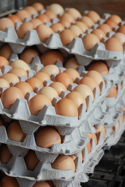 Eggs for Sale