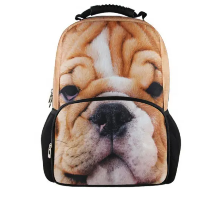 Newest Style Canvas Messenger Bags in GH