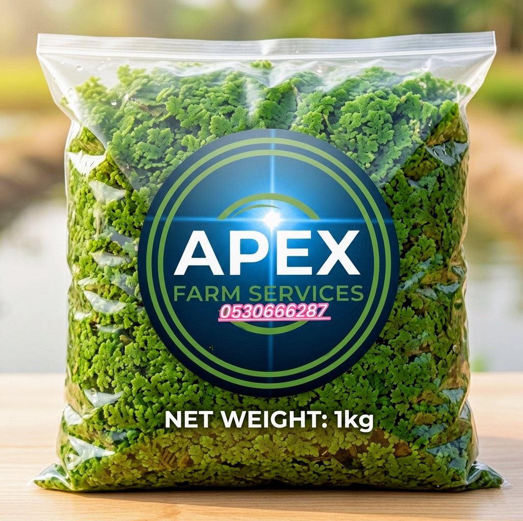 Azolla, Duckweed, water lettuce, water lily, watercress, Azolla Max fertilizer in GH