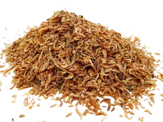 fishup9.png
