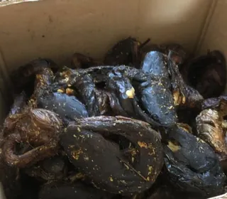 Large Medium Sized Fresh Nigerian Dry Catfish | Upfrica United Kingdom - African Food & Groceries - main product image