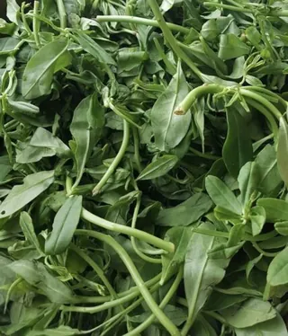 Fresh Nigerian Waterleaf Bunches | Upfrica United Kingdom - Groceries & Household - main product image