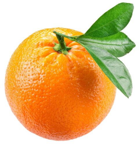Fresh Oranges - 1xeach in GB