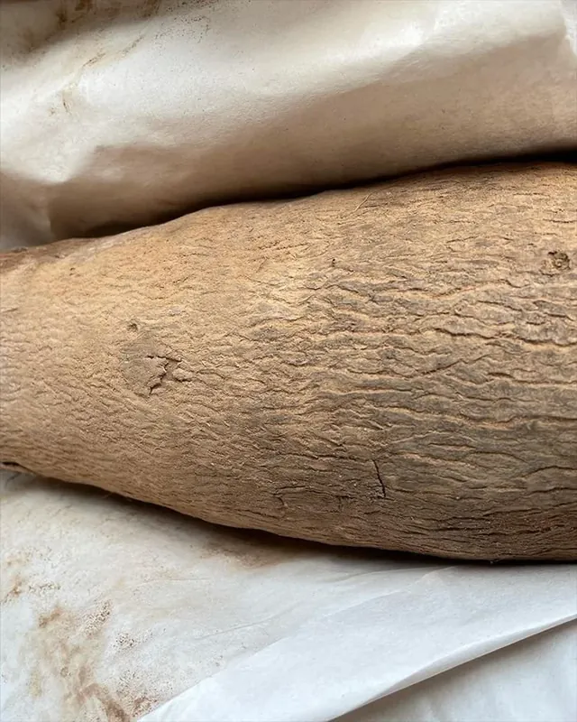 Freshly Harvested Yam from Ashantis in West Africa, Very Nice and tasty, 100% Organic in GB