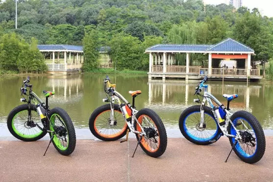 Electric Bicycle Bike 350W 26inch 36V 10ah Adult Full Suspension Mountain Bike in GH
