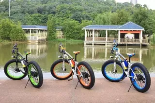 electric-bicycle-bike-350w-26inch-36v-10ah-adult-full-suspension-mountain-bike.jpg