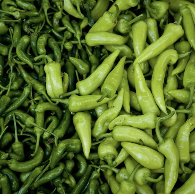 Green Chilli Bullet Chillies Jalapeño | Price in Ghana (brand-new) – Men’s Shoes in GH