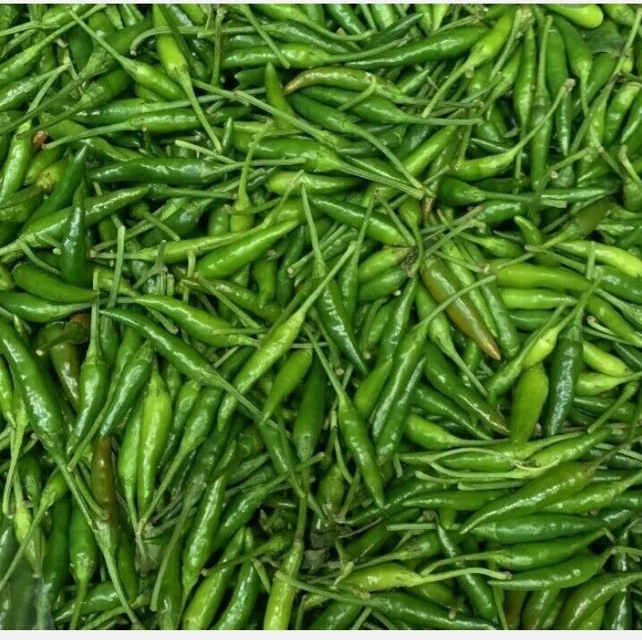HOT CHILLIES PEPPERS FRESH BIRDS EYE GREEN PEPPER 500g