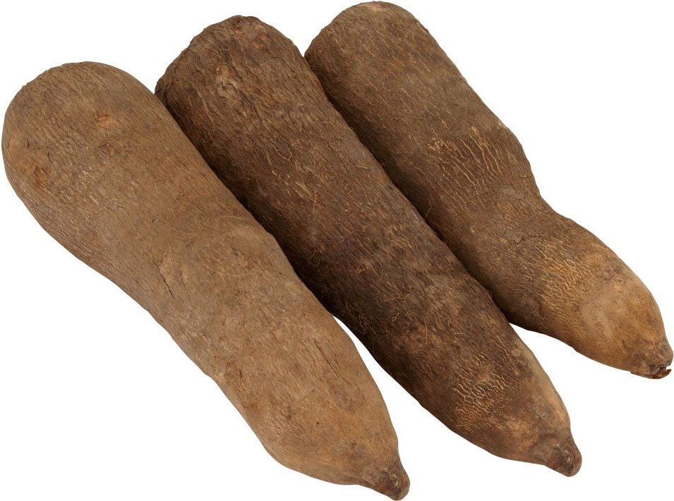 Fresh Tubers of Yam