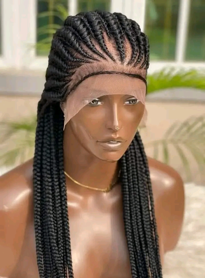 ALL BACK BRAIDED WIG FOR LADIES in NG
