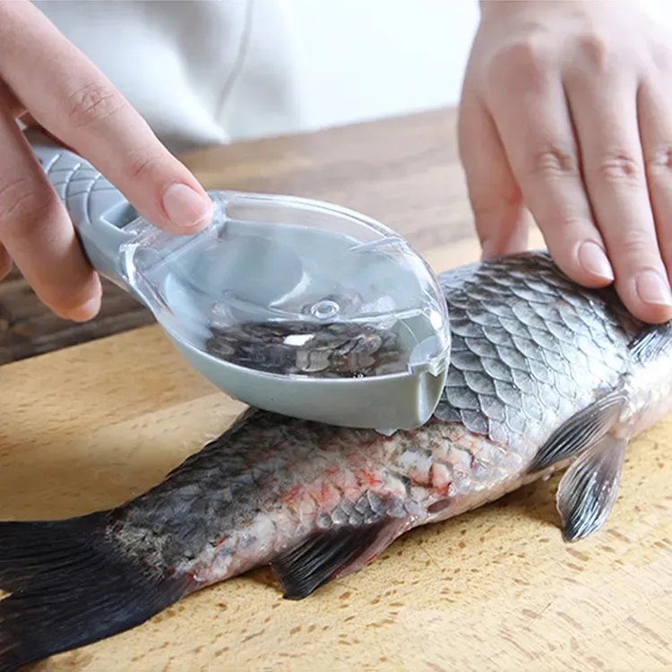 Fish Scale Brush Grater Fish Skin Scraping in GH