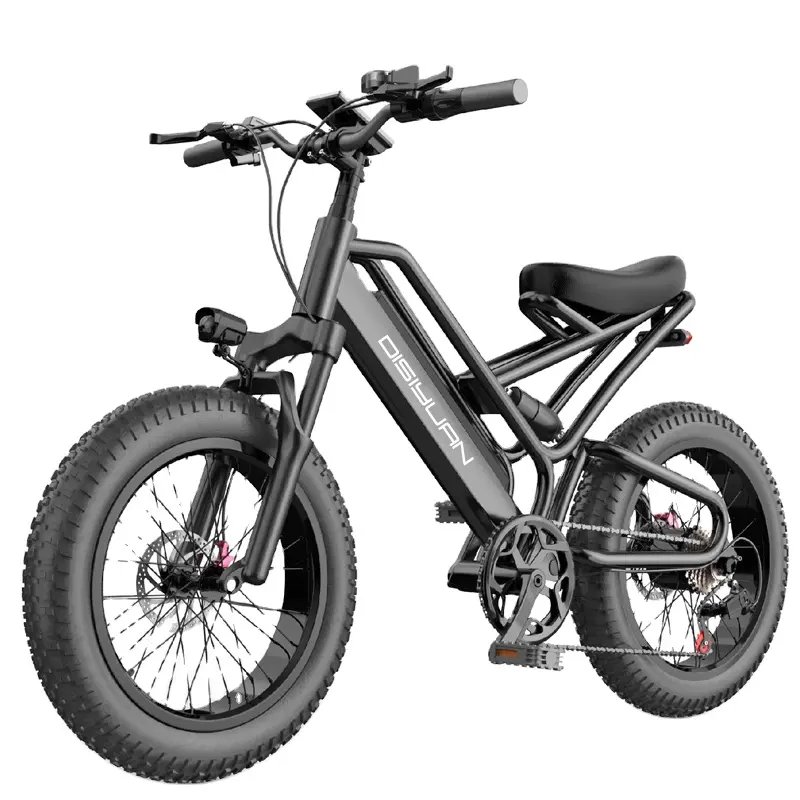 ebike 500W Fat tire electric bicycle dirtbike ports e-bike dirt cycle mountain electric bike