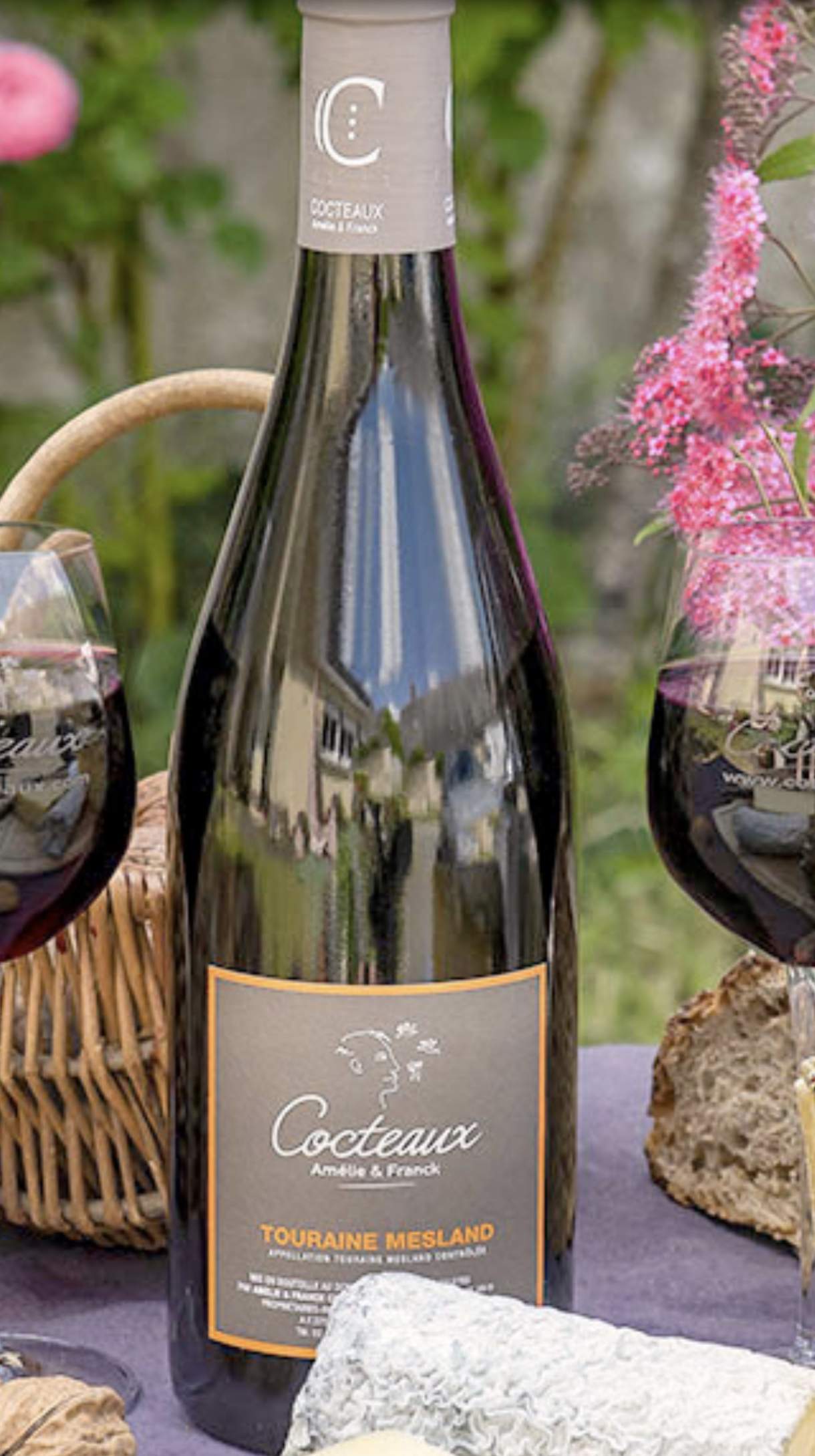 Authentique Red Wine Touraine Mesland