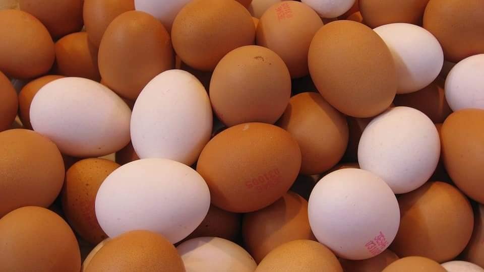 Farm fresh eggs