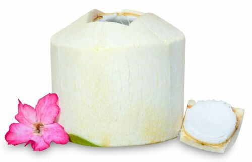 Young Coconut - Fresh Exotic Fruit From Thailand in GB