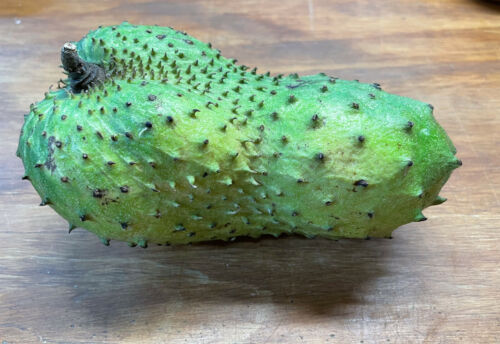 Fresh Soursop Fruit, organically Grown in GB